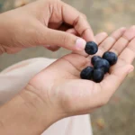 Voici comment savoir si vous êtes allergique aux myrtilles