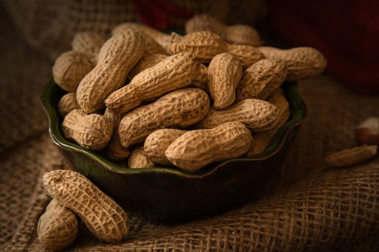 Peut-on guerir d'une allergie alimentaire ? Ce qu'on sait en 2026